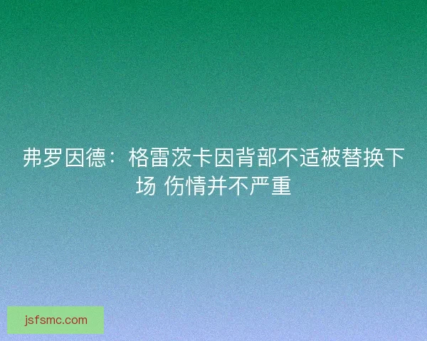 弗罗因德：格雷茨卡因背部不适被替换下场 伤情并不严重