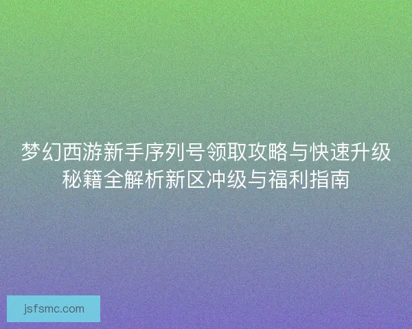 梦幻西游新手序列号领取攻略与快速升级秘籍全解析新区冲级与福利指南